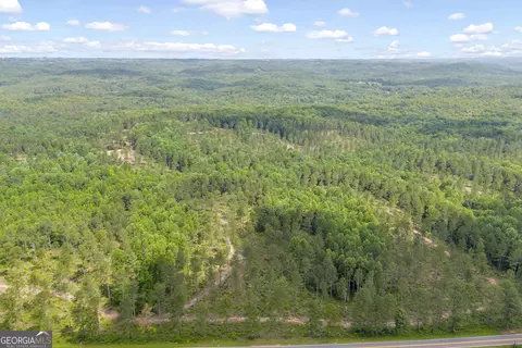 0 Mt Sinai #LOT 3, Lula, GA 30554 photo 18