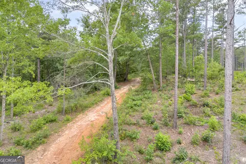 0 Mt Sinai #LOT 3, Lula, GA 30554 photo 30