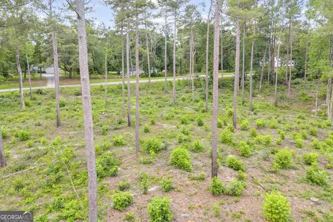 0 Mt Sinai #LOT 3, Lula, GA 30554 photo 26