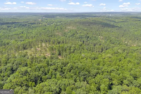 0 Mt Sinai #LOT 3, Lula, GA 30554 photo 12