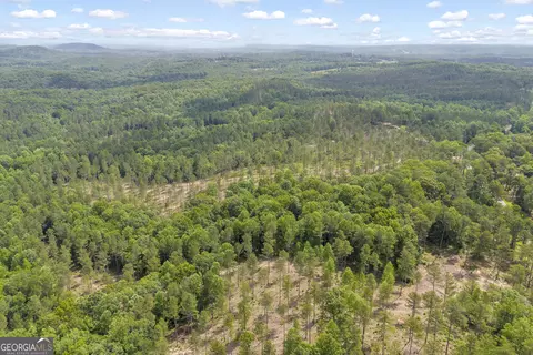 0 Mt Sinai #LOT 3, Lula, GA 30554 photo 14