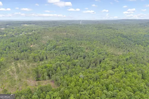 0 Mt Sinai #LOT 3, Lula, GA 30554 photo 42