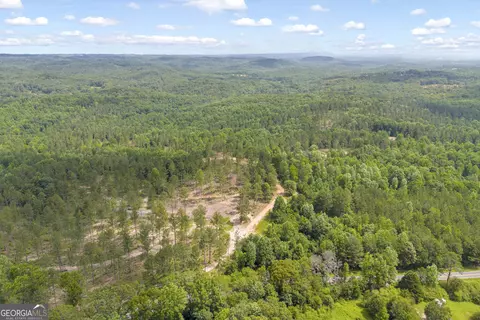 0 Mt Sinai #LOT 3, Lula, GA 30554 photo 16