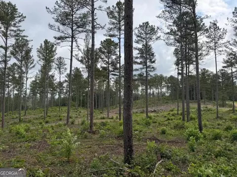 0 Mt Sinai #LOT 3, Lula, GA 30554 photo 46