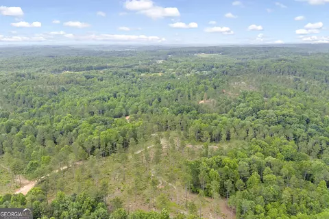 0 Mt Sinai #LOT 3, Lula, GA 30554 photo 41
