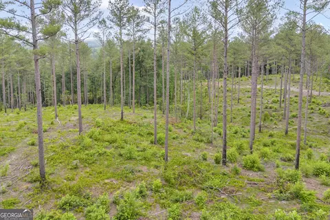 0 Mt Sinai #LOT 3, Lula, GA 30554 photo 24