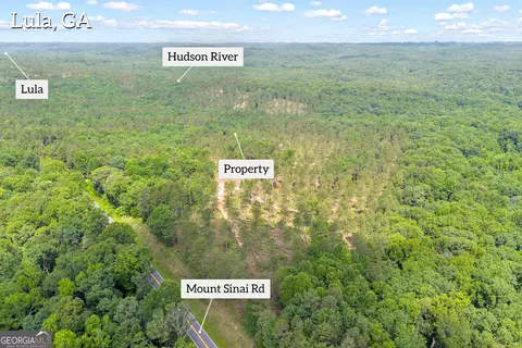 0 Mt Sinai #LOT 3, Lula, GA 30554 photo 4