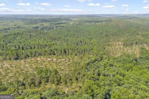 0 Mt Sinai #LOT 3, Lula, GA 30554 photo 10