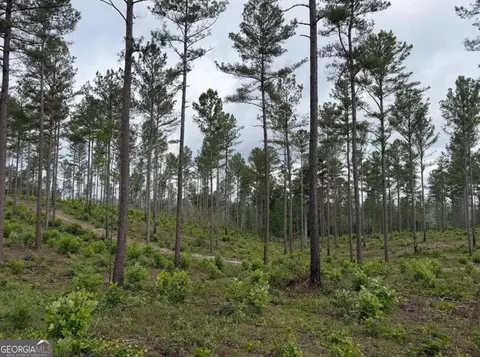 0 Mt Sinai #LOT 3, Lula, GA 30554 photo 47