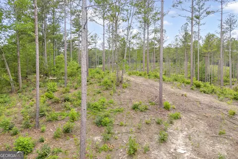 0 Mt Sinai #LOT 3, Lula, GA 30554 photo 29
