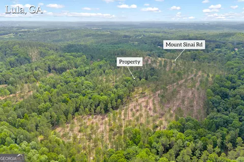 0 Mt Sinai #LOT 3, Lula, GA 30554 photo 6