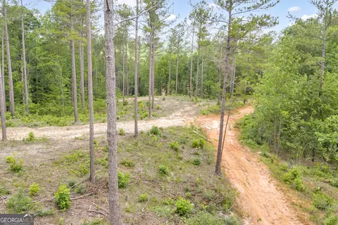0 Mt Sinai #LOT 3, Lula, GA 30554 photo 28