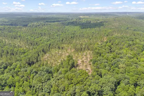 0 Mt Sinai #LOT 3, Lula, GA 30554 photo 11