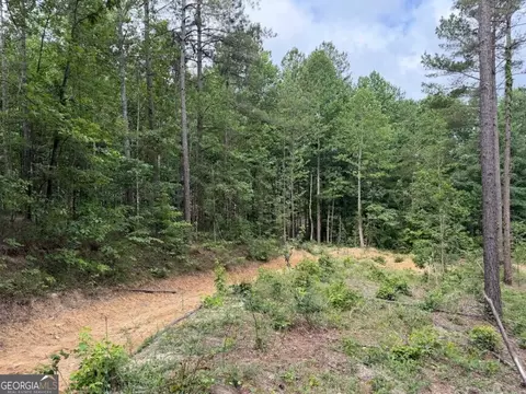 0 Mt Sinai #LOT 3, Lula, GA 30554 photo 52