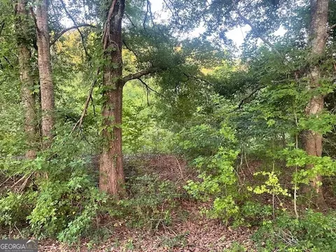 0 Mccrary Road - Tract 3, Molena, GA 30258 photo 13