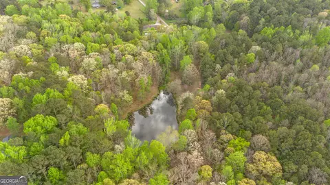 555 Highway 3 N, Hampton, GA 30228 photo 8
