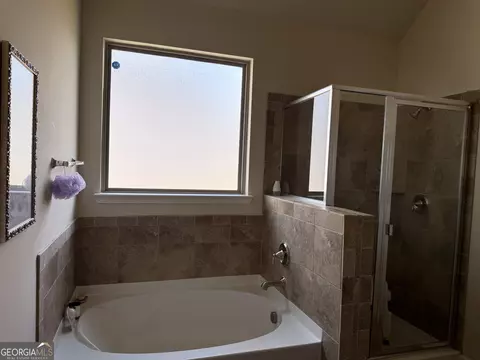 Bath - 260 Silver Ridge Rd, Covington, GA 30016 photo 2 of 3