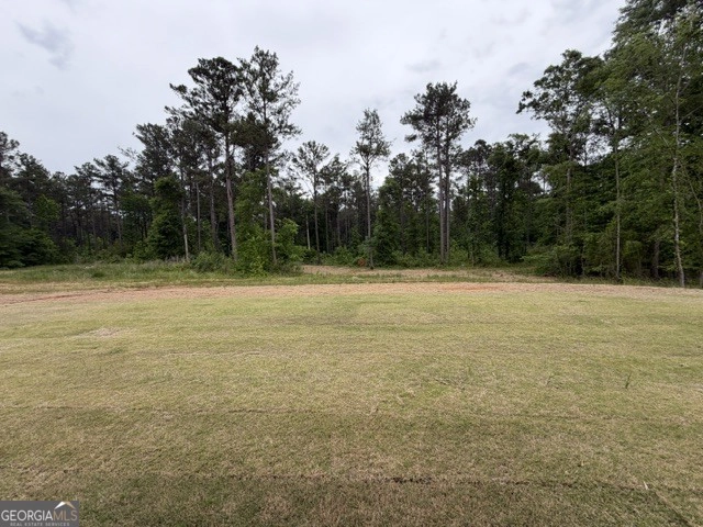 226 Robert Williams Rd, Pine Mountain, GA 31822 photo 18