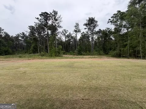 226 Robert Williams Rd, Pine Mountain, GA 31822 photo 18