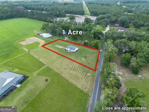View/Area - 6611 Clark Rd, Blackshear, GA 31516 photo 2 of 2