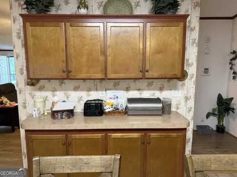280 Steele Dr, Hampton, GA 30228 photo 9