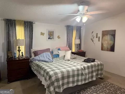 280 Steele Dr, Hampton, GA 30228 photo 10