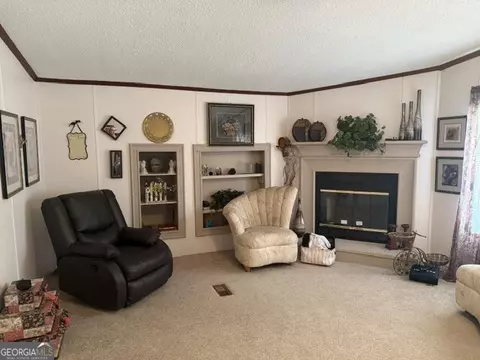 280 Steele Dr, Hampton, GA 30228 photo 17