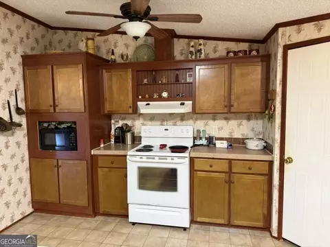 280 Steele Dr, Hampton, GA 30228 photo 8