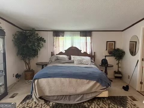 280 Steele Dr, Hampton, GA 30228 photo 18