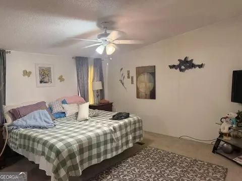 280 Steele Dr, Hampton, GA 30228 photo 11