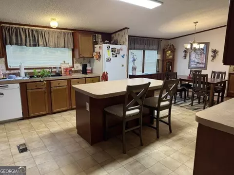 280 Steele Dr, Hampton, GA 30228 photo 6