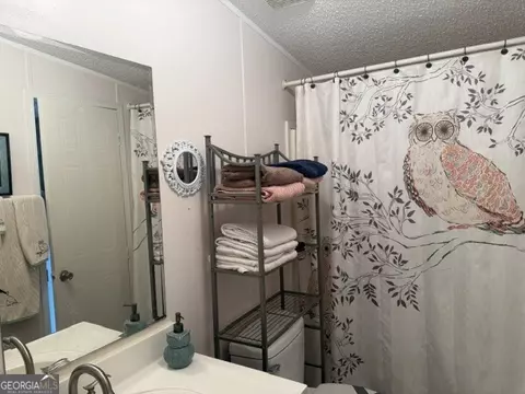 280 Steele Dr, Hampton, GA 30228 photo 15