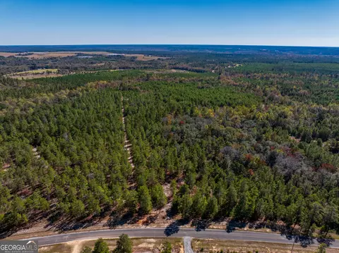 28 95 Acres Horne Rd, Roberta, GA 31078 photo 10
