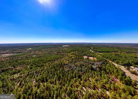 28 95 Acres Horne Rd, Roberta, GA 31078 photo 8