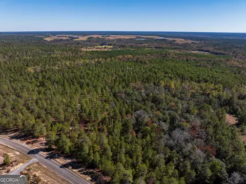 28 95 Acres Horne Rd, Roberta, GA 31078 photo 9