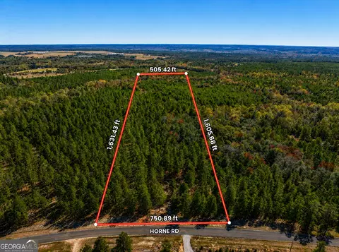 28 95 Acres Horne Rd, Roberta, GA 31078 photo 4