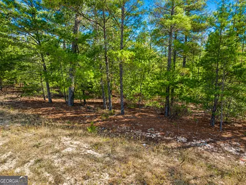 28 95 Acres Horne Rd, Roberta, GA 31078 photo 3