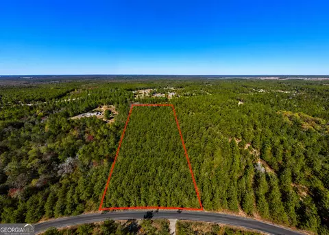 28 95 Acres Horne Rd, Roberta, GA 31078 photo 5