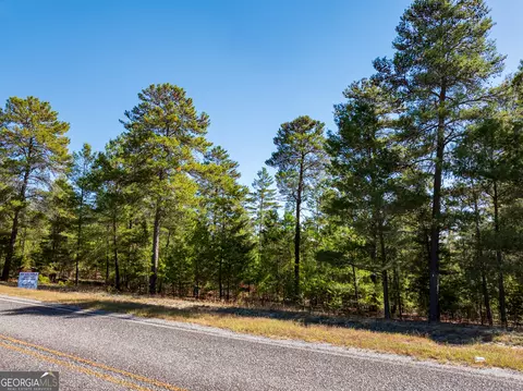 28 95 Acres Horne Rd, Roberta, GA 31078 photo 6