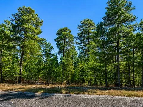 28 95 Acres Horne Rd, Roberta, GA 31078 photo 2