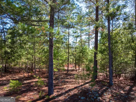 28 95 Acres Horne Rd, Roberta, GA 31078