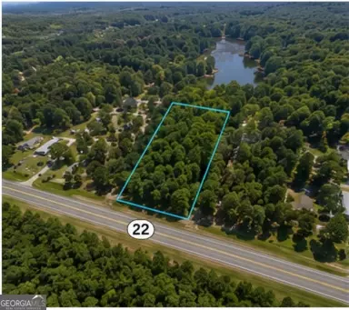 2 5 Acres Highway 22, Haddock, GA 31033 photo 4