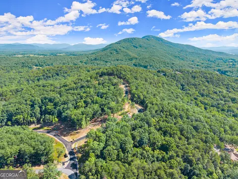 64 Chimney Oaks Trl, Cleveland, GA 30528