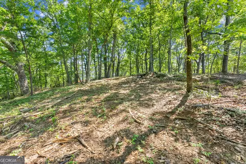 95 Chimney Oaks Trl, Cleveland, GA 30528