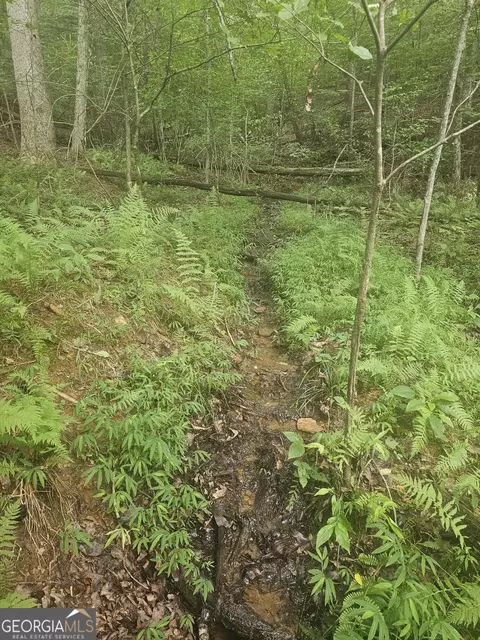 0 Watkins Rd, Blue Ridge, GA 30513
