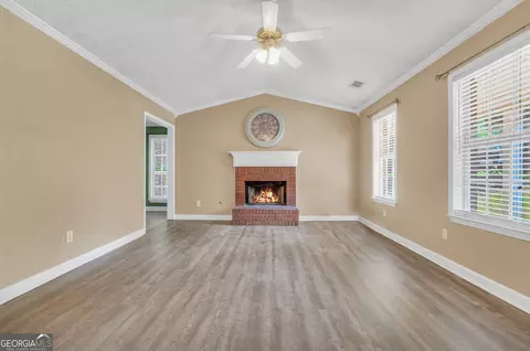 Living - 208 Drake Elm Ct, Hampton, GA 30228 photo 1 of 7