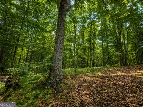 0 Gadsden Rd, Cave Spring, GA 30124 photo 17