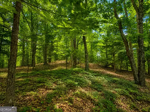 0 Gadsden Rd, Cave Spring, GA 30124 photo 14