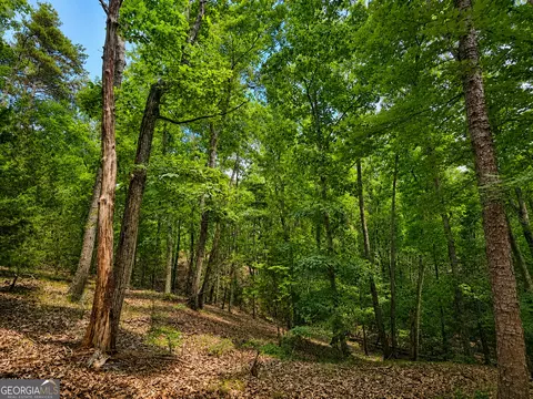 0 Gadsden Rd, Cave Spring, GA 30124 photo 18
