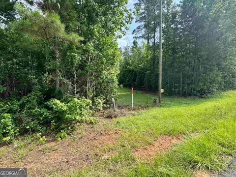 000 Springfield Turner Rd, Union Point, GA 30669 photo 27